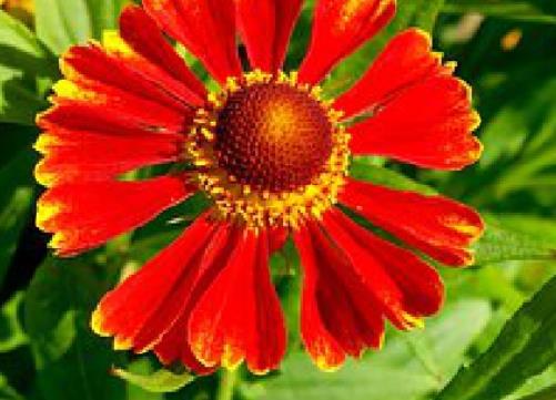 励志人生的经典句子文案