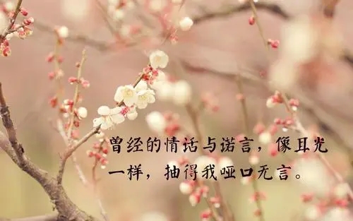 彻底心凉了的心情说说文案