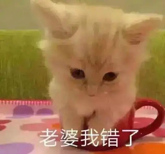 哄老婆原谅的话