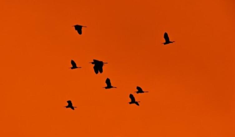 摘抄句子文案并写感悟