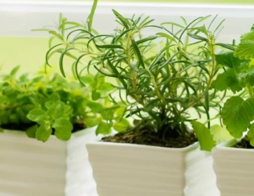 思念过往的一句话