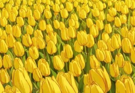 时光早安语录文案