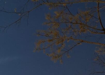 抖音吸引加粉点赞的句子文案