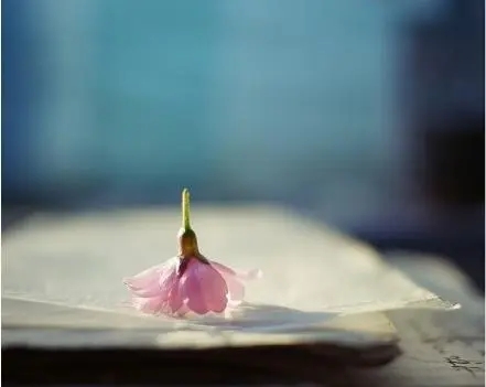 平静面对生活经典语录文案