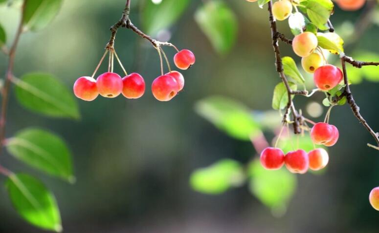 新的一月开始精美语句文案朋友圈