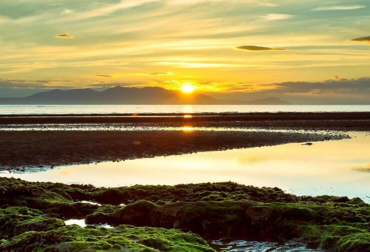 一句名言说明观点