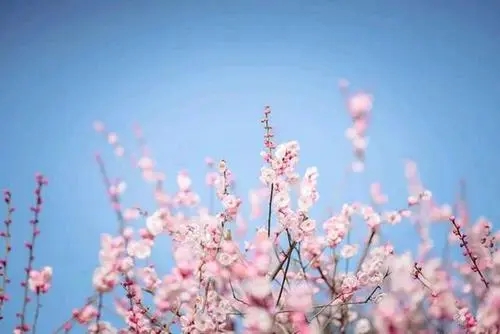 关于晴天的说说文案