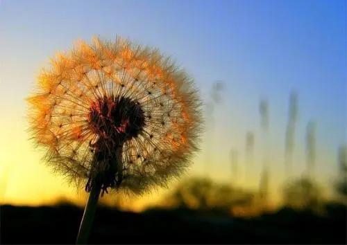 简短阳光的微信签名