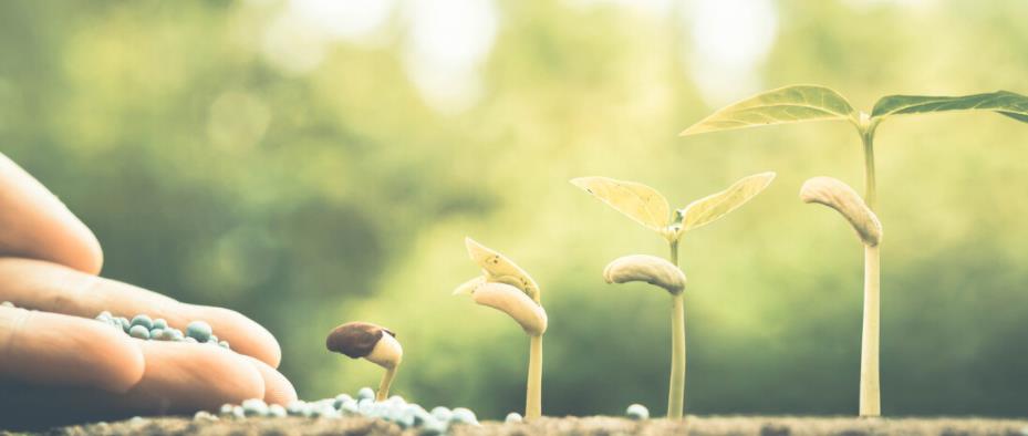 看清楚了一些人一些事经典句子文案