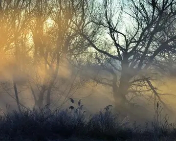 摘抄优美句段300字