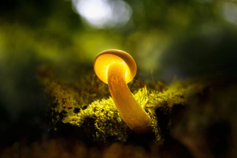 让人心痛心酸心碎的话