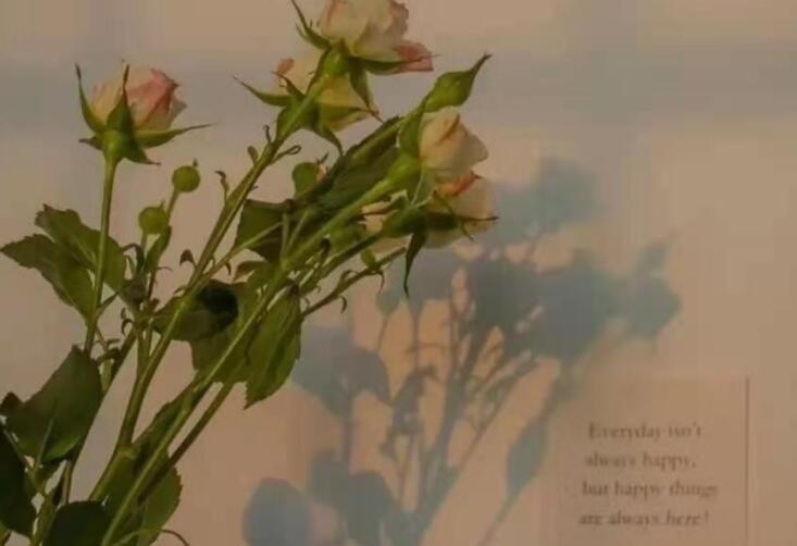 文艺的分手句子