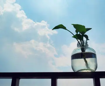 一些致自己的话简短