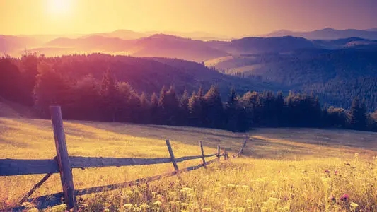 优美段落摘抄50字