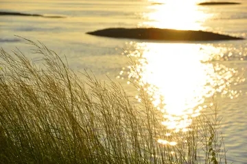 描写天气晴朗微风吹拂的句子文案