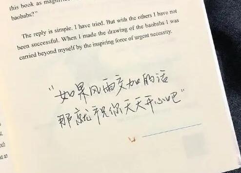 等风热吻你小说文案