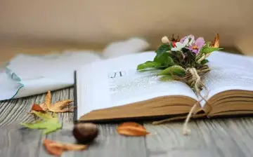 感谢师恩的诗句文案名言