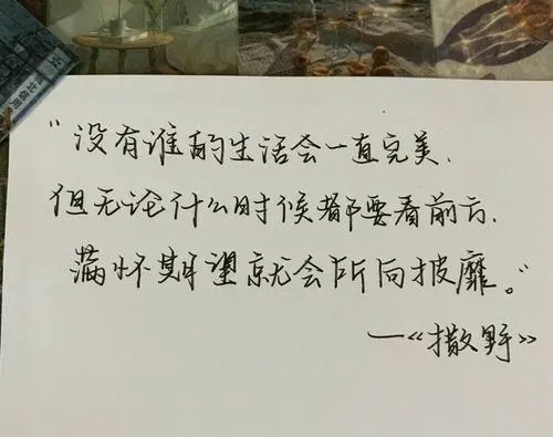 撒野经典语录文案