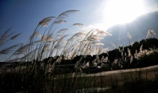形容晚风撩人的诗句文案