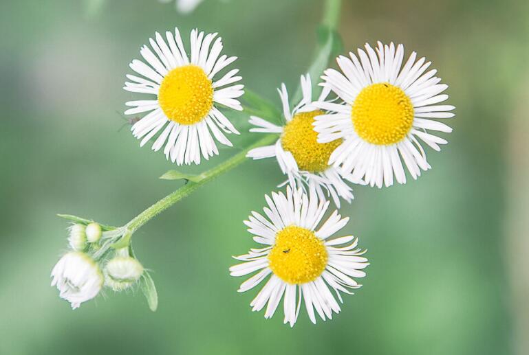 好好生活句子文案发朋友圈