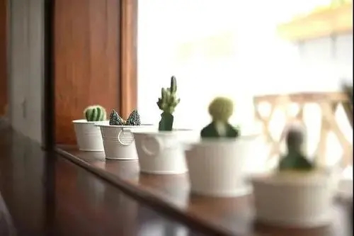 关于生活应该精致的句子文案