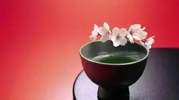 静心养心的经典语句文案