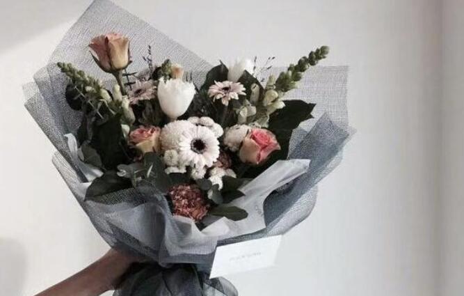 二十个好句子文案字少