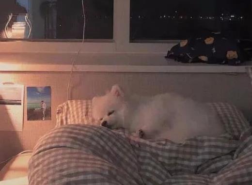 暗示脱单的个性签名