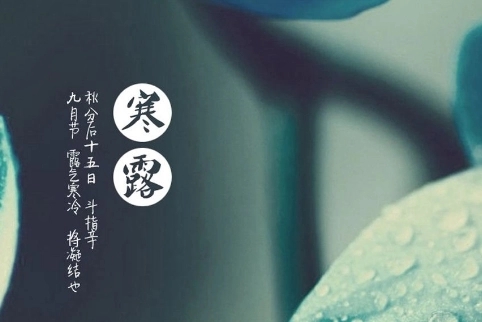 描写寒露的诗句文案摘抄