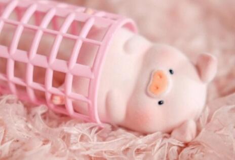 抖音网红句子文案