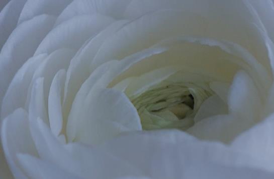 书香古风句子文案