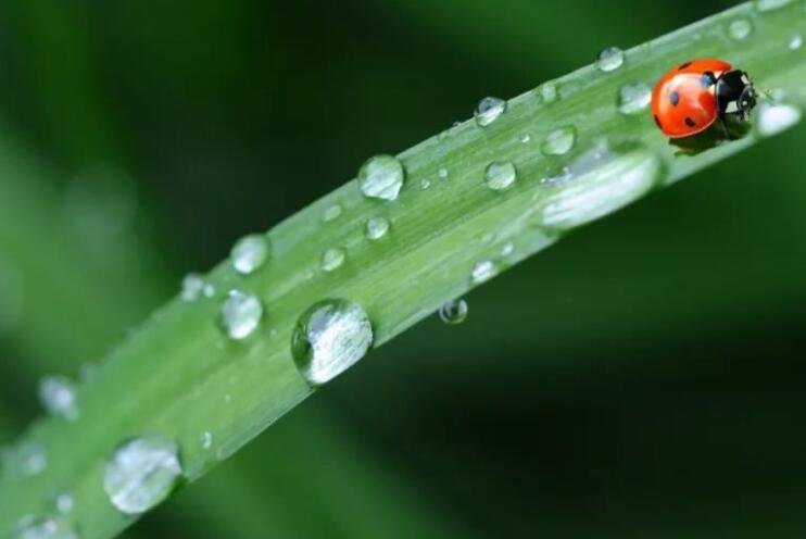 形容夏天很凉快的诗句文案