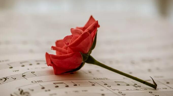 忙碌的说说文案发朋友圈