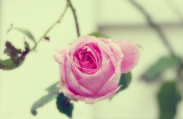 催泪话语给老师