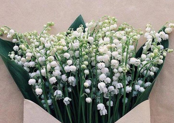 用一句话暗示喜欢一个人