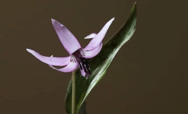 好词好句十字以内唯美句子文案