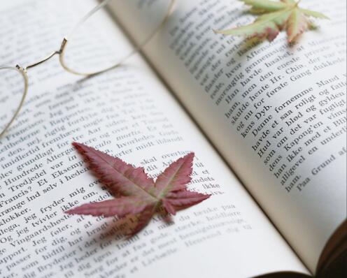 来自小说的经典语录文案