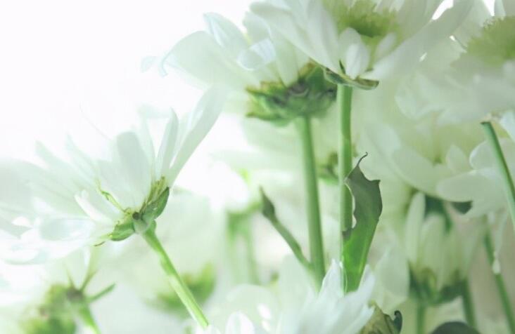 祝你一路顺风句句子文案