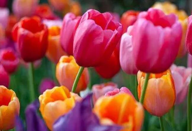 美美心情正能量句子文案