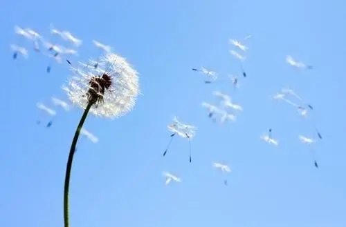 关于资助的优美句子文案