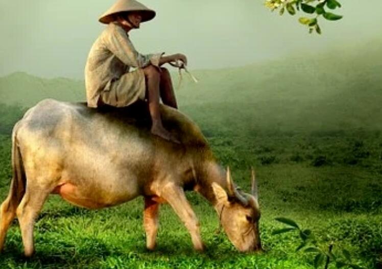 关于劳动的古诗大全(精选)