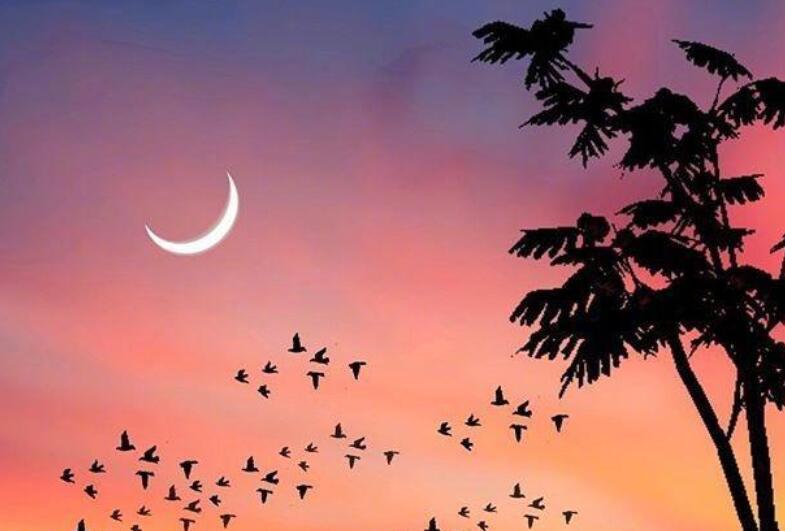 趁着年轻奋斗的句子文案