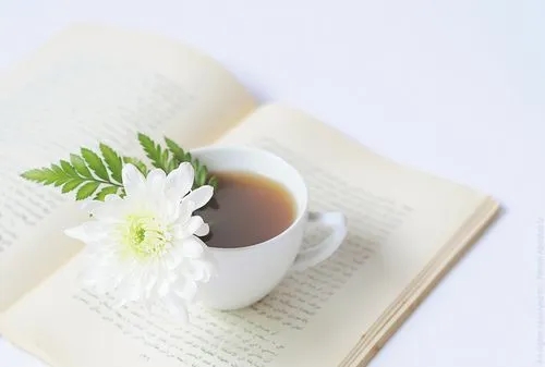 关于观察的名言警句