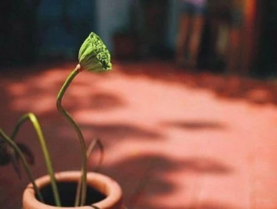 告诉对方要珍惜的句子文案