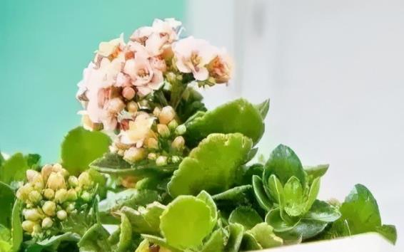 怀念过去的经典句子文案