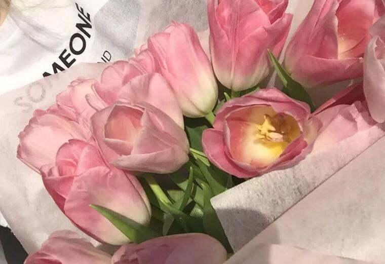 关于温柔的人的句子文案