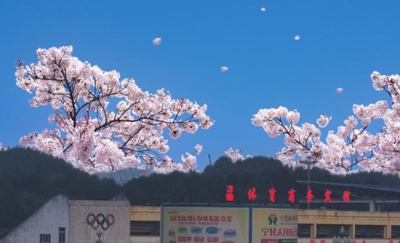 优美的段落和句子文案摘抄