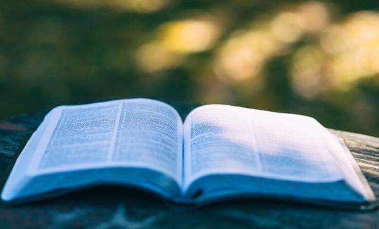 努力终有回报的美句