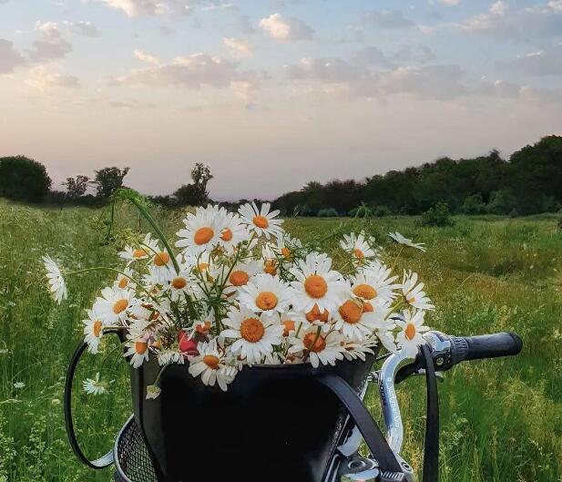 唯美抒情句子文案