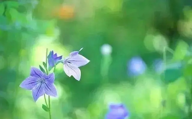 回首往事的句子文案诗句